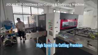 Examen de la machine de découpe automatique profonde JIGUO MYP 1060