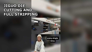 JIGUO (FULL STRIPPING) MACHINE AUTOMATIQUE DE DÉCOUPE ET DE DÉCAPAGE